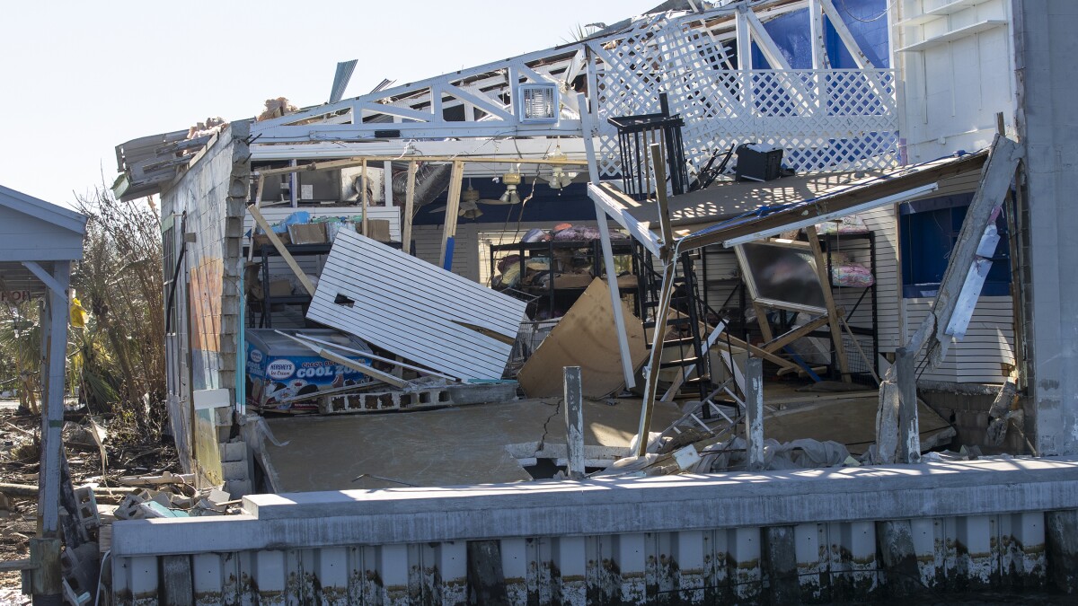 DAMAGEPLAN ツアーピック Damageplan Dimebag Darrell- Black Label Society Zakk Wylde